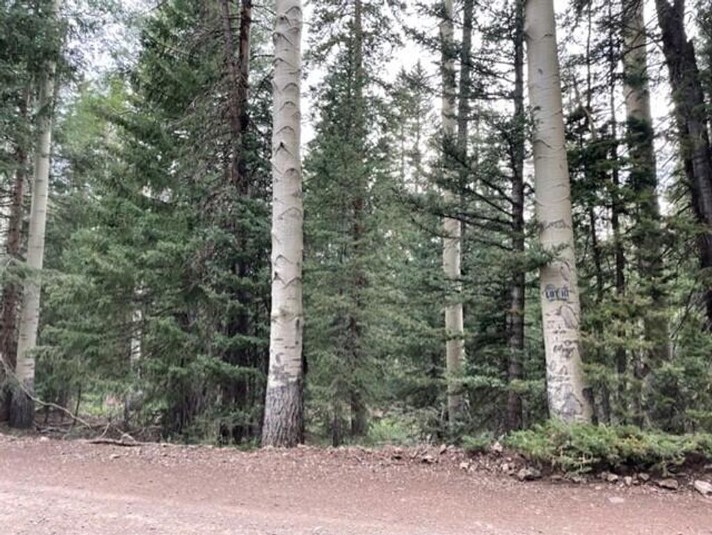 Photo of 51 Arrowhead Subdivision, Beaver, UT 84713 (MLS # 111867)