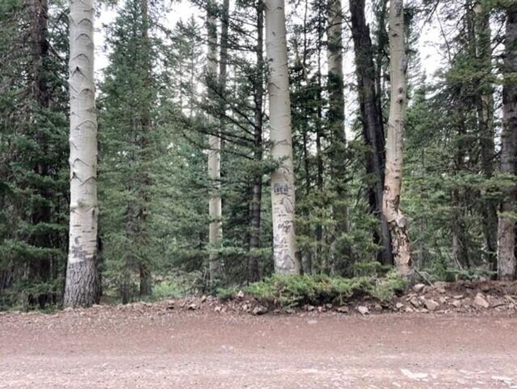 Photo of 51 Arrowhead Subdivision, Beaver, UT 84713 (MLS # 111867)