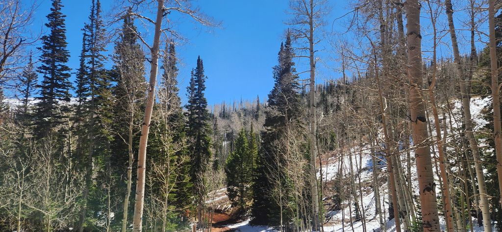 Photo of 590 W Kokopelli Loop, Brian Head, UT 84719 (MLS # 115598)