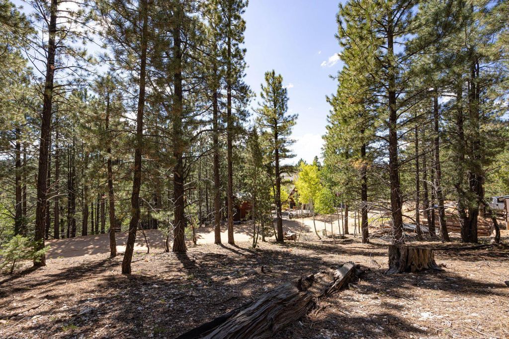 Photo of 1685 E Gulf Stream DR, Duck Creek Village, UT 84762 (MLS # 111021)