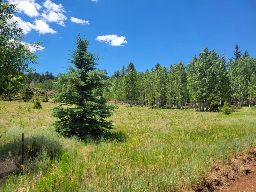 Photo of 4175 N Sundance Kid LN, Duck Creek Village, UT 84762 (MLS # 107512)