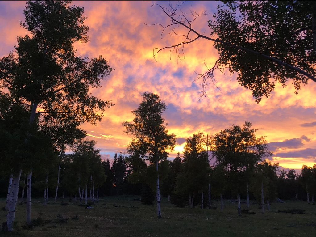 Photo of South of and Below Navajo Lake/N Fork R, Duck Creek Village, UT 84762 (MLS # 107949)