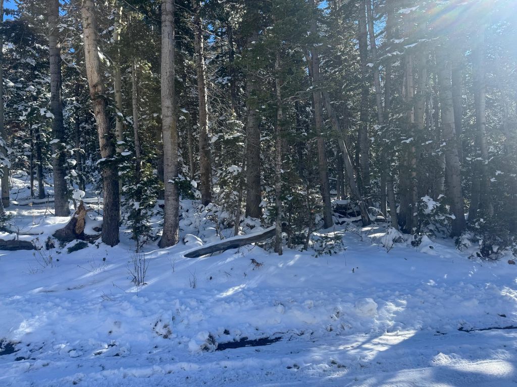 Photo of Falcon Ct #CBME unit c lots 68, Brian Head, UT 84719 (MLS # 113920)