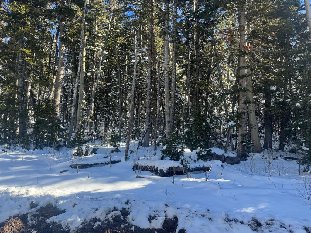 Photo of Falcon Ct #CBME unit c lots 68, Brian Head, UT 84719 (MLS # 113920)