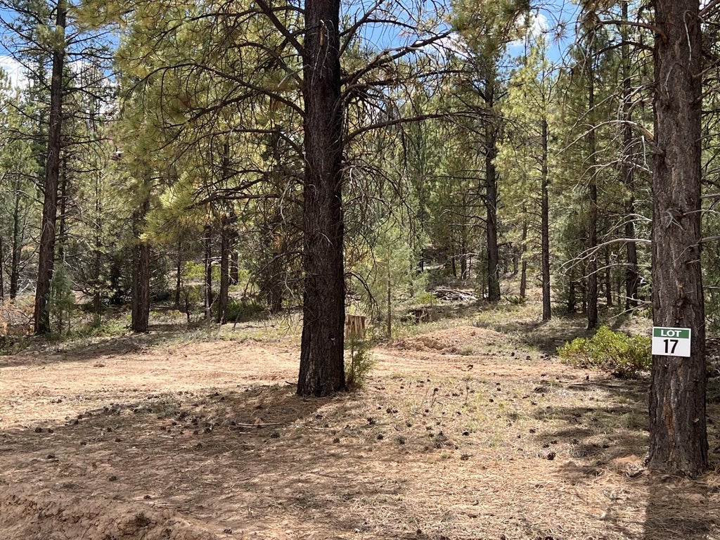 Photo of 17 Elk Ridge Estates Phase 6, Alton, UT 84710 (MLS # 118036)