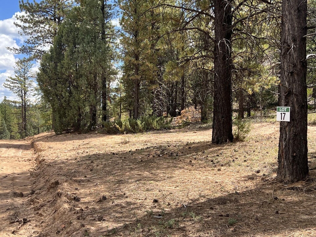 Photo of 17 Elk Ridge Estates Phase 6, Alton, UT 84710 (MLS # 118036)