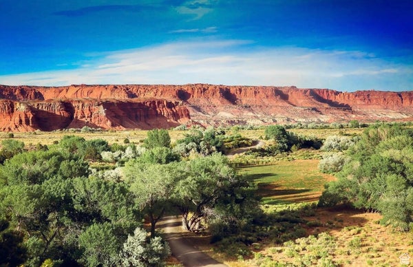 ADDRESS PRIVATE, TORREY, UT 84775 - Image 0d0cd8064de985d183e3deec736cc2ee/3387591716
