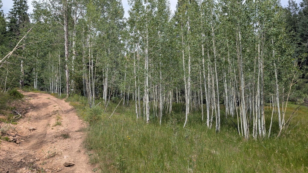 Photo of 40 Skyhaven Mountain Retreat #Unit 3, Duck Creek Village, UT 84762 (MLS # 117312)