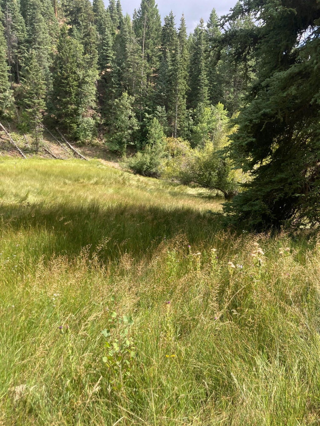 Photo of 40 Skyhaven Mountain Retreat #Unit 3, Duck Creek Village, UT 84762 (MLS # 117312)