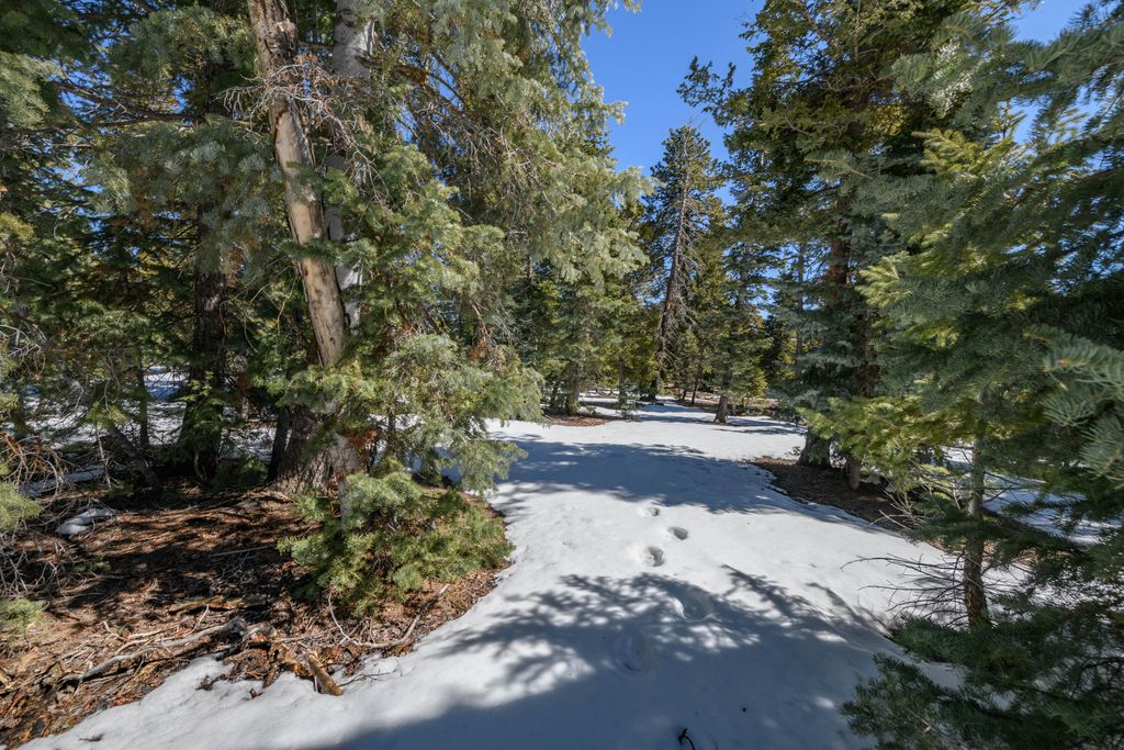 Photo of 1485 Flintlock CIR, Duck Creek Village, UT 84762 (MLS # 115099)