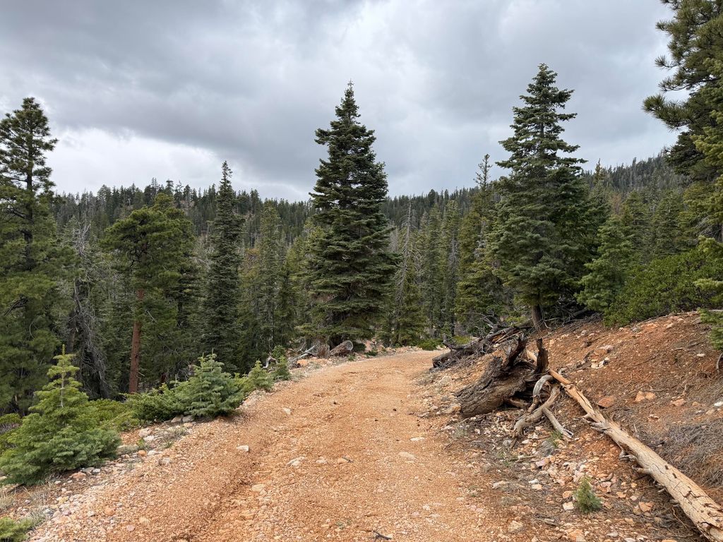 Photo of 5140 W Bear CIR, Duck Creek Village, UT 84762 (MLS # 115689)