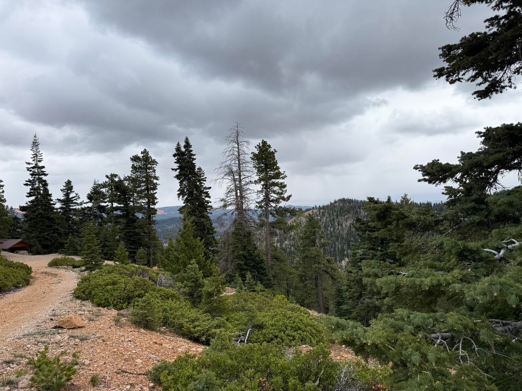 Photo of 5140 W Bear CIR, Duck Creek Village, UT 84762 (MLS # 115689)