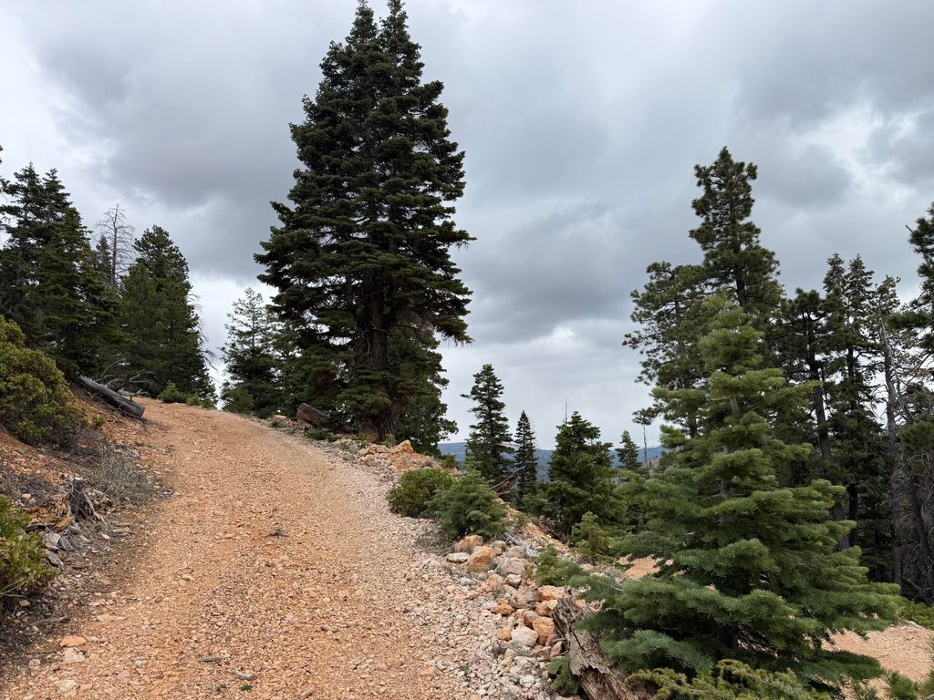 Photo of 5140 W Bear CIR, Duck Creek Village, UT 84762 (MLS # 115689)