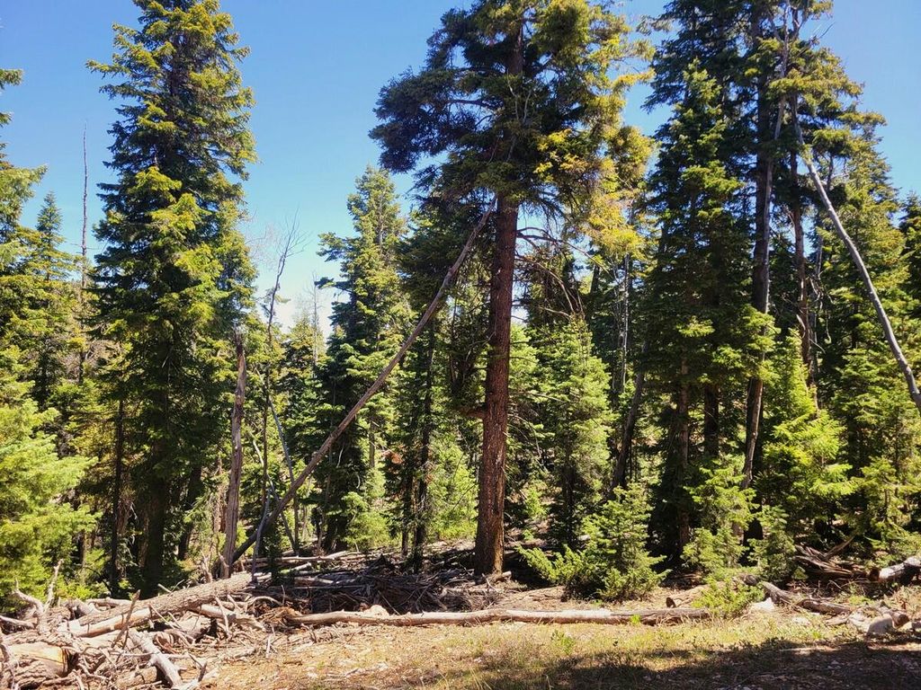 Photo of 880 W Shale CIR, Duck Creek Village, UT 84762 (MLS # 106436)