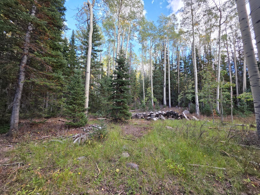 Photo of 214 E Deer Trail, Brian Head, UT 84719 (MLS # 118123)