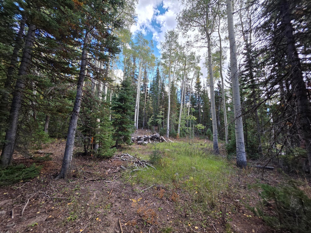 Photo of 214 E Deer Trail, Brian Head, UT 84719 (MLS # 118123)