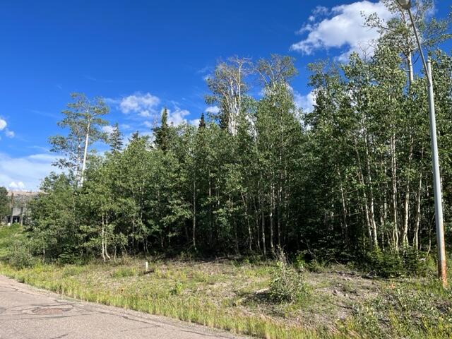 Photo of 309 W Ridge View ST, Brian Head, UT 84719 (MLS # 117711)