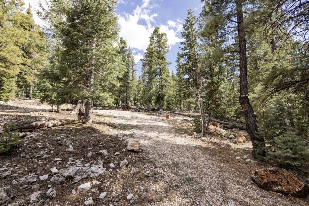 Photo of 1740 E Ponderosa View LP, Duck Creek Village, UT 84762 (MLS # 110743)