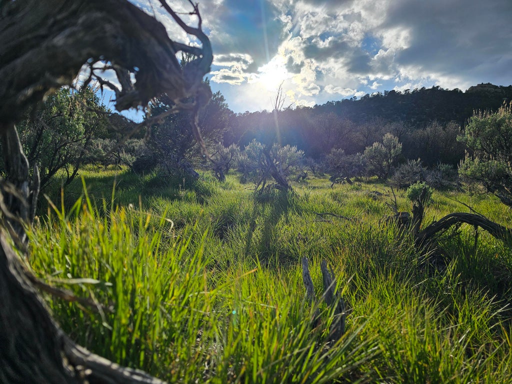 Photo of 2090 County Road Lot 1, Mount Carmel, UT 84755 (MLS # 117216)