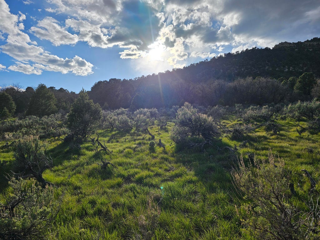 Photo of 2090 County Road Lot 1, Mount Carmel, UT 84755 (MLS # 117216)