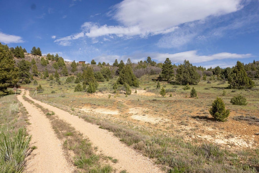 Photo of 3290 Roosevelt LN, Alton, UT 84710 (MLS # 116484)