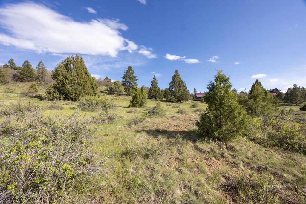 Photo of 3290 Roosevelt LN, Alton, UT 84710 (MLS # 116484)