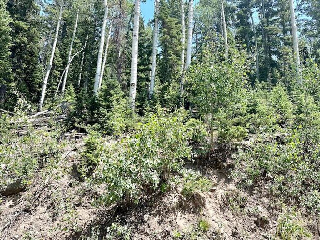 Photo of 55 S Snow Shoe Dr #Lot 1 Blk B, Brian Head, UT 84719 (MLS # 107641)