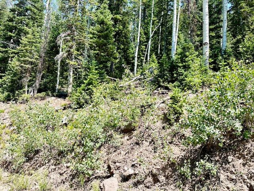 Photo of 55 S Snow Shoe Dr #Lot 1 Blk B, Brian Head, UT 84719 (MLS # 107641)