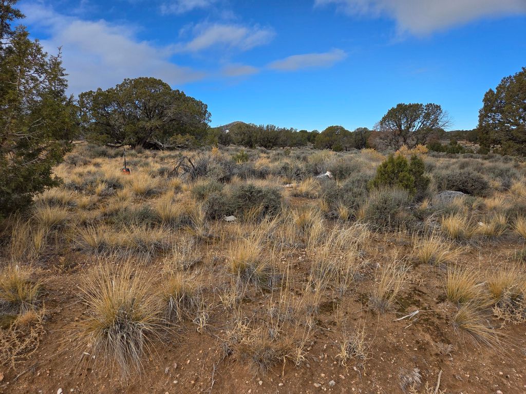 Photo of 5792 N 4200 W, Cedar City, UT 84721 (MLS # 113891)