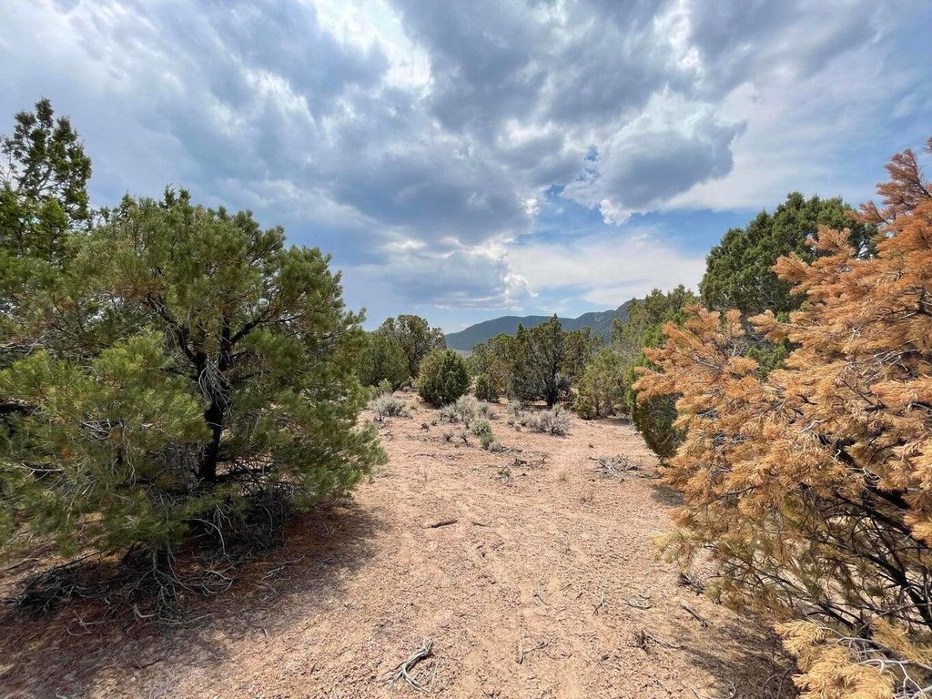 Photo of 1788 W Granite LN, Cedar City, UT 84720 (MLS # 113024)