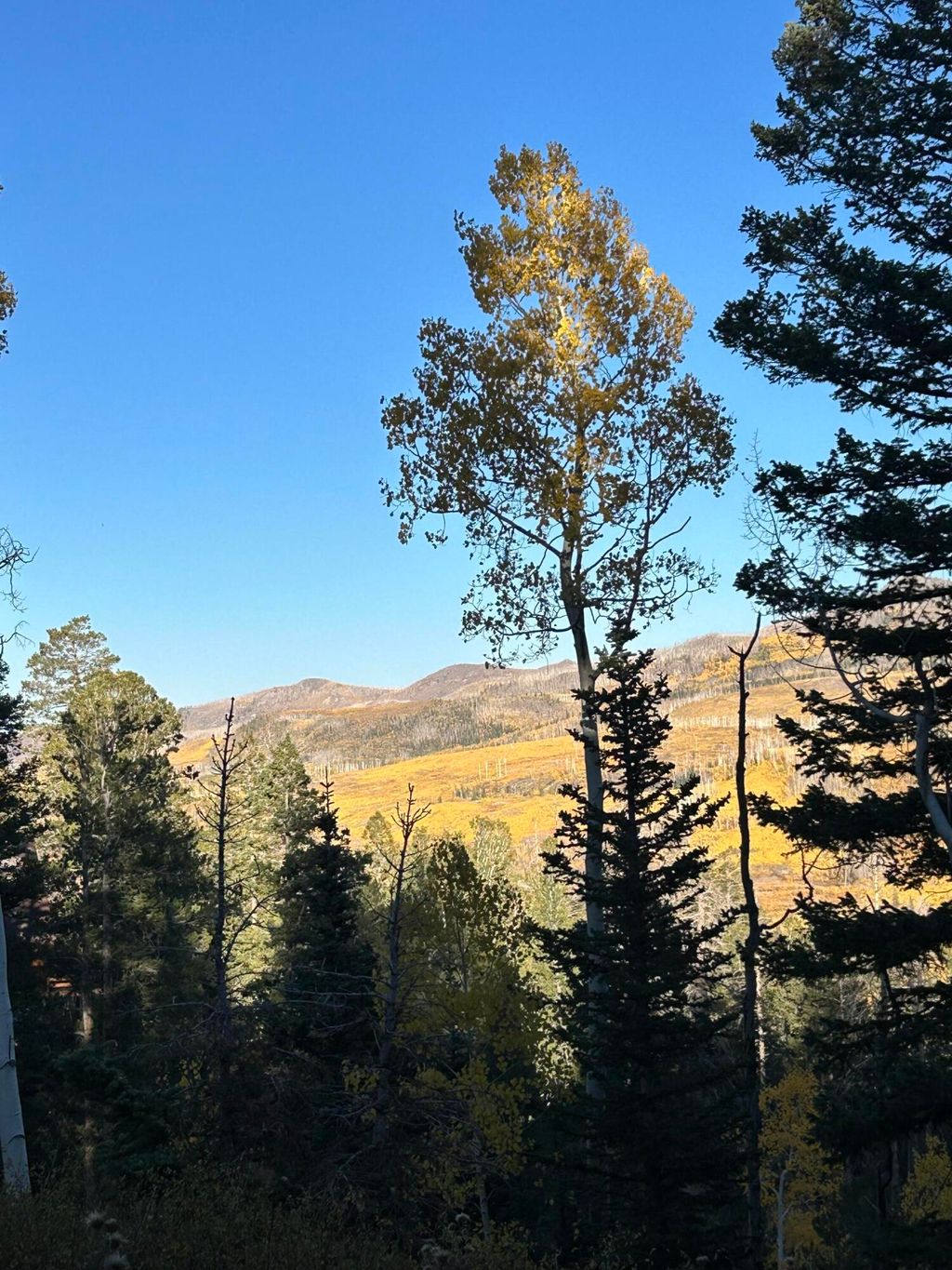 Photo of 660 W Ski View DR, Brian Head, UT 84719 (MLS # 108580)