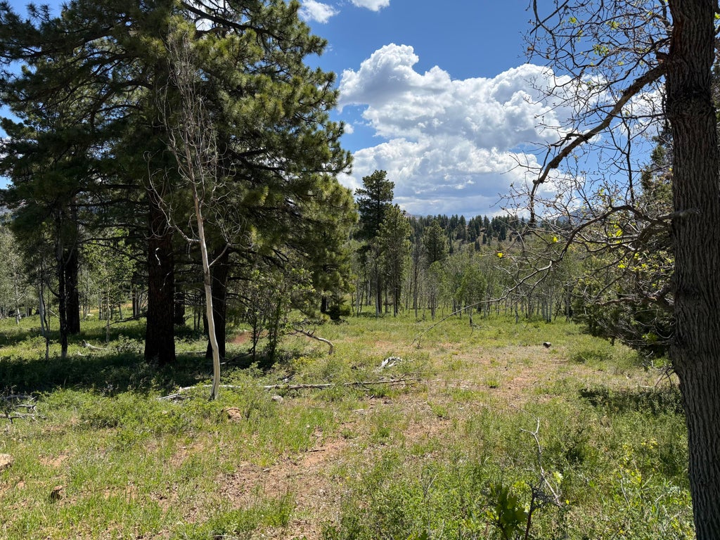 Photo of Minor Lot Addition to Trossach Lot Est #Next to Lot 23, Cedar City, UT 84720 (MLS # 116148)