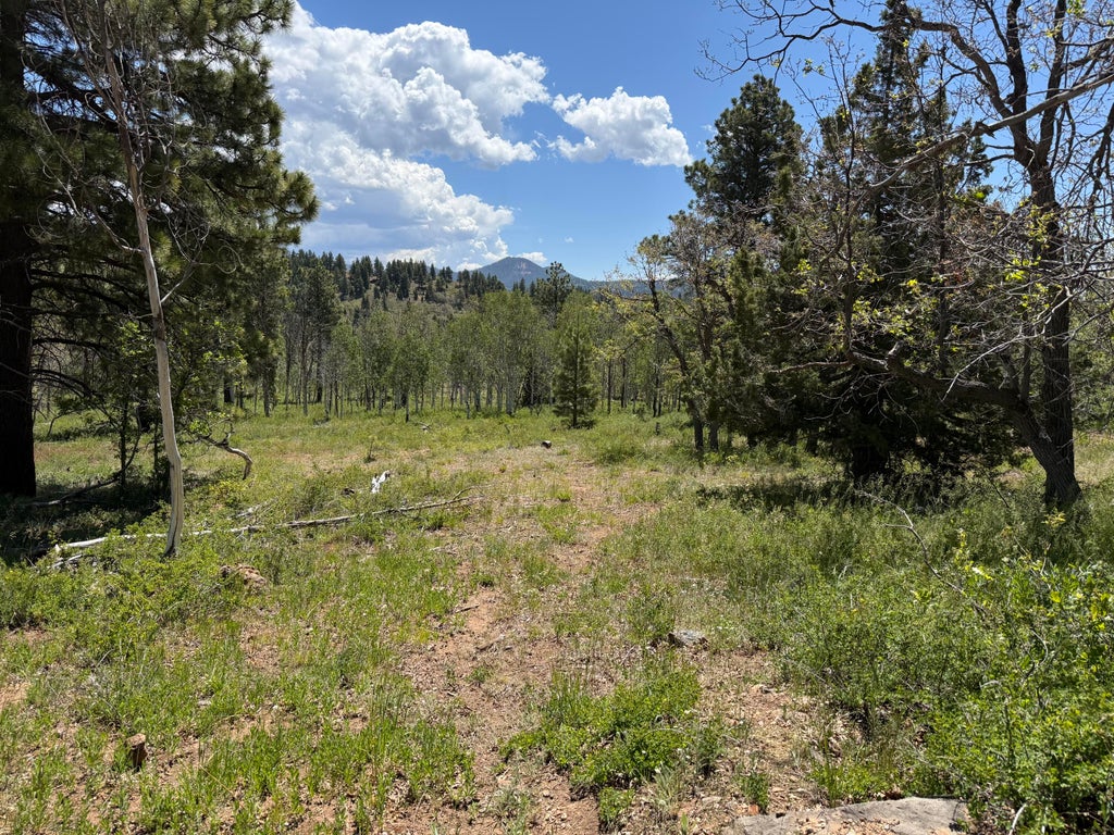 Photo of Minor Lot Addition to Trossach Lot Est #Next to Lot 23, Cedar City, UT 84720 (MLS # 116148)