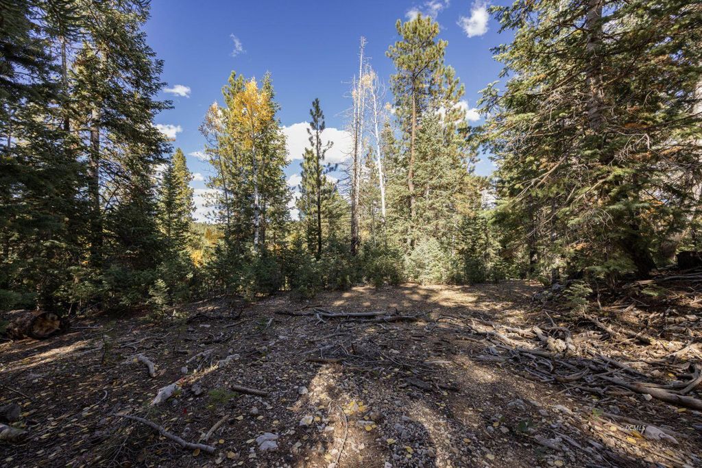 Photo of 1815 E Beech Craft DR, Duck Creek Village, UT 84762 (MLS # 114683)