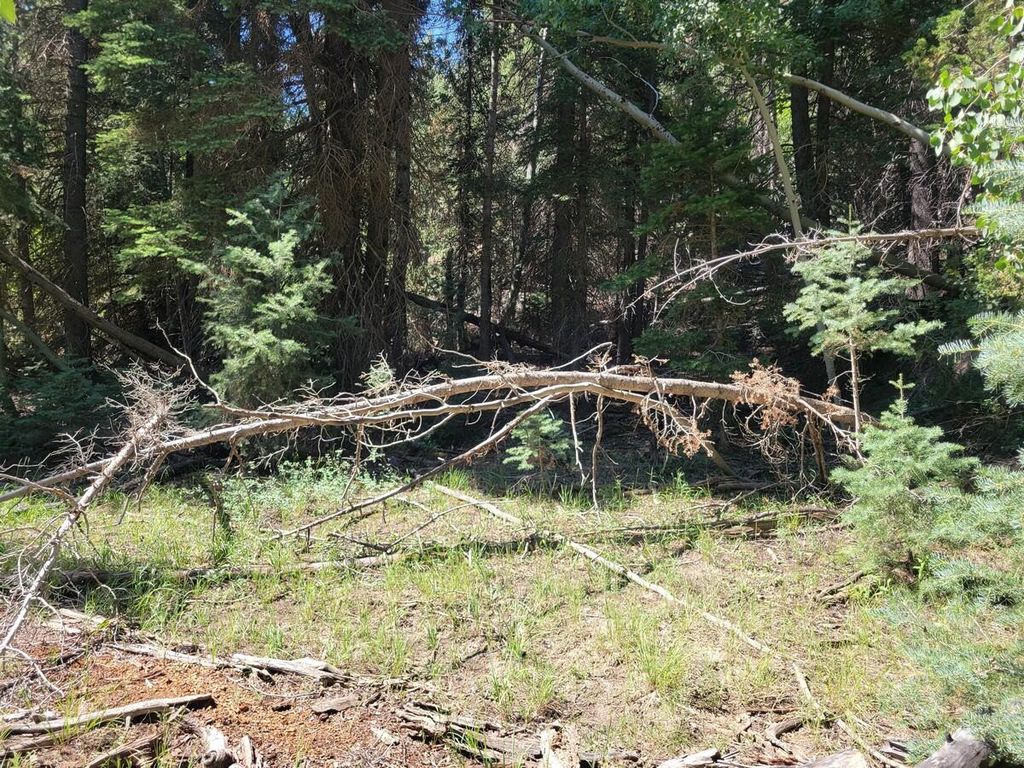 Photo of 45 Pinon DR, Duck Creek Village, UT 84762 (MLS # 109652)