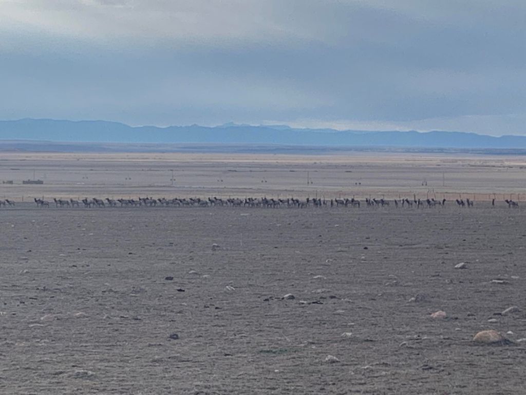 Photo of County Road 4616, Fillmore, UT 84631 (MLS # 115323)