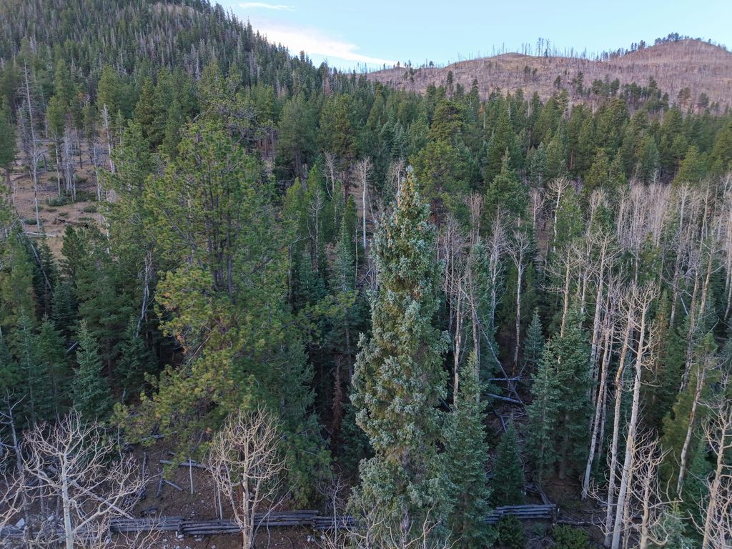 Photo of Clear Creek Estates Lot 15, Panguitch, UT 84759 (MLS # 113774)