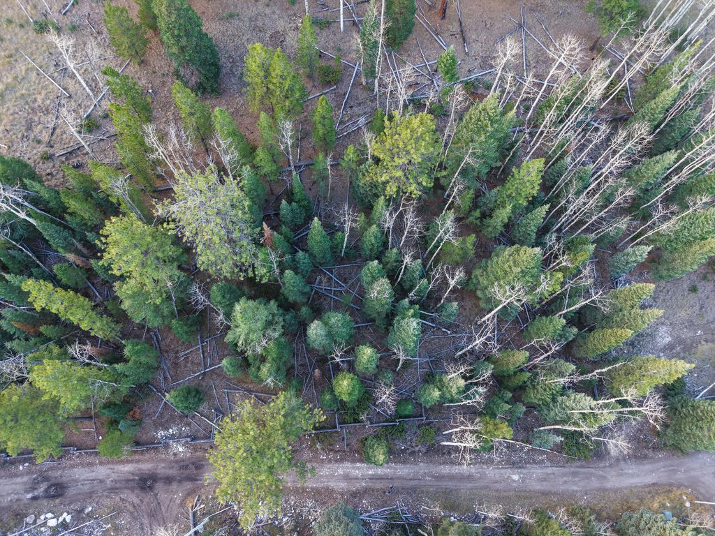 Photo of Clear Creek Estates Lot 15, Panguitch, UT 84759 (MLS # 113774)