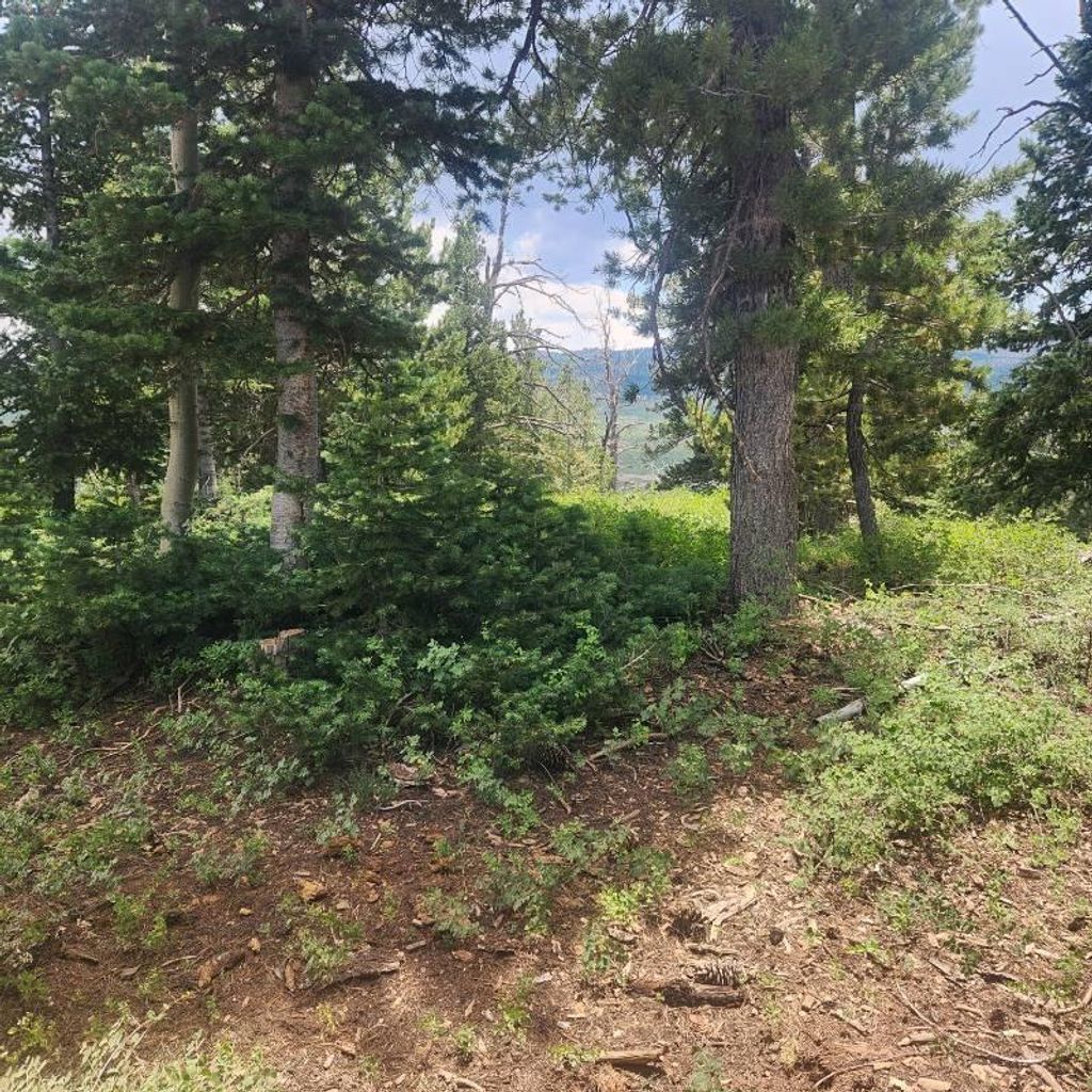 Photo of 1272 N Aspen RD, Brian Head, UT 84719 (MLS # 107753)