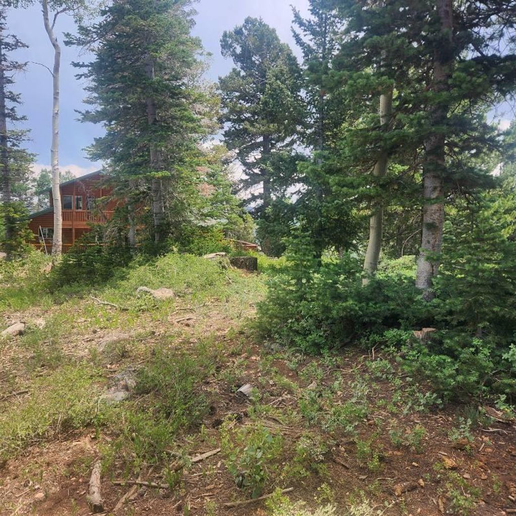 Photo of 1272 N Aspen RD, Brian Head, UT 84719 (MLS # 107753)