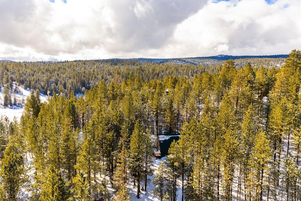 Photo of 885 N Spruce DR, Duck Creek Village, UT 84762 (MLS # 114279)