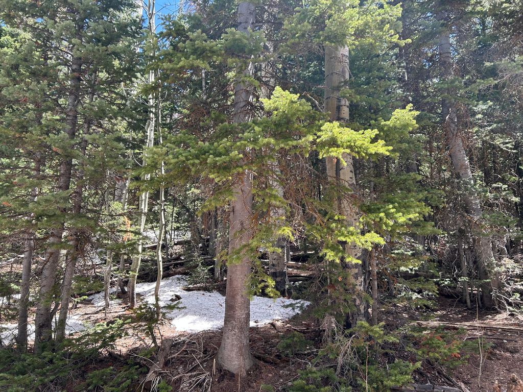 Photo of 380 N Forest DR, Brian Head, UT 84719 (MLS # 109676)