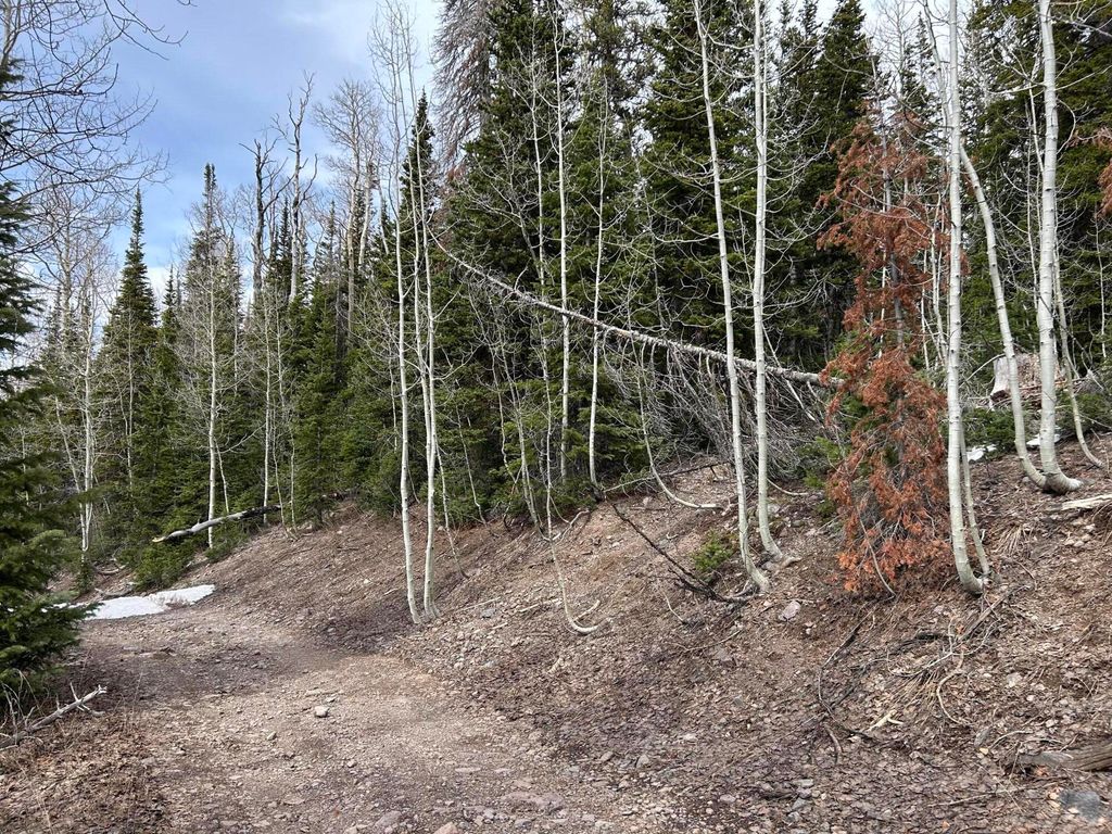 Photo of 380 N Forest DR, Brian Head, UT 84719 (MLS # 109676)