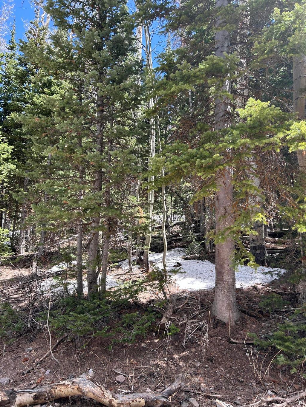 Photo of 380 N Forest DR, Brian Head, UT 84719 (MLS # 109676)