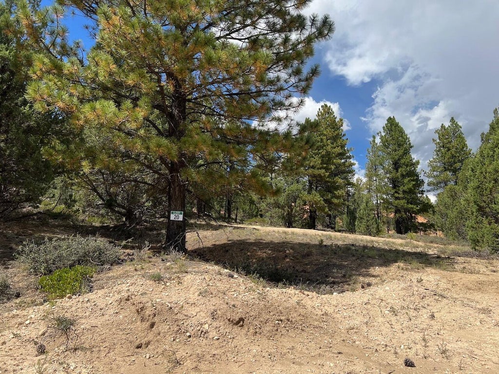 Photo of 20 Elk Ridge Estates Phase 6, Alton, UT 84710 (MLS # 118039)