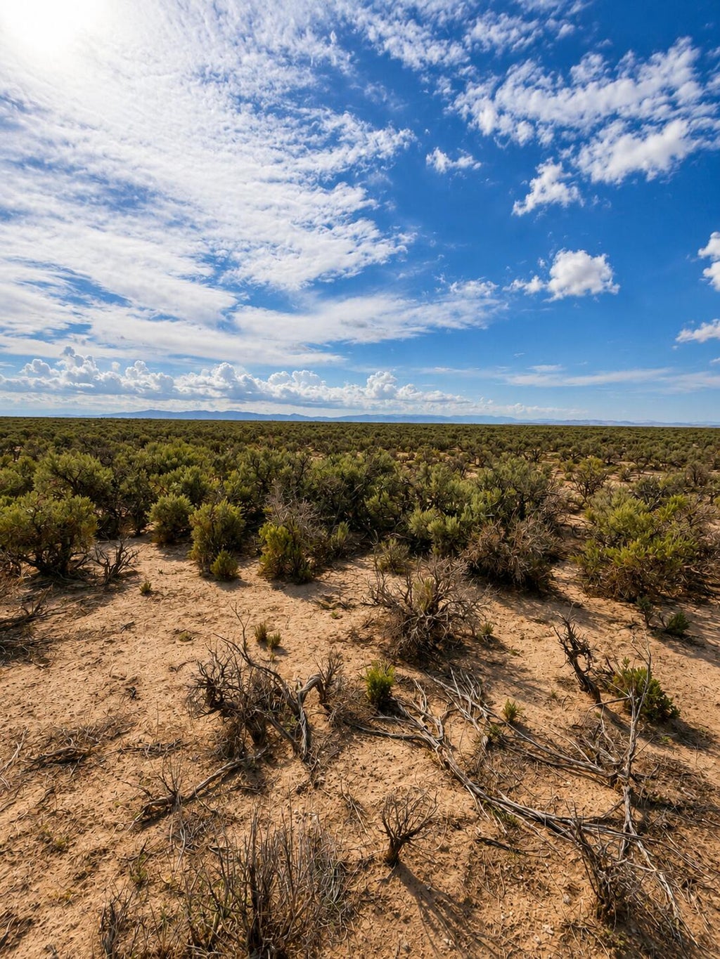 Photo of 5600 40 N, Beryl, UT 84714 (MLS # 117800)