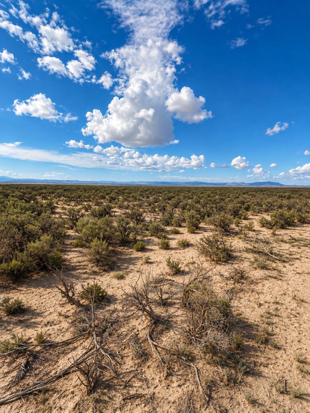 Photo of 5600 40 N, Beryl, UT 84714 (MLS # 117800)