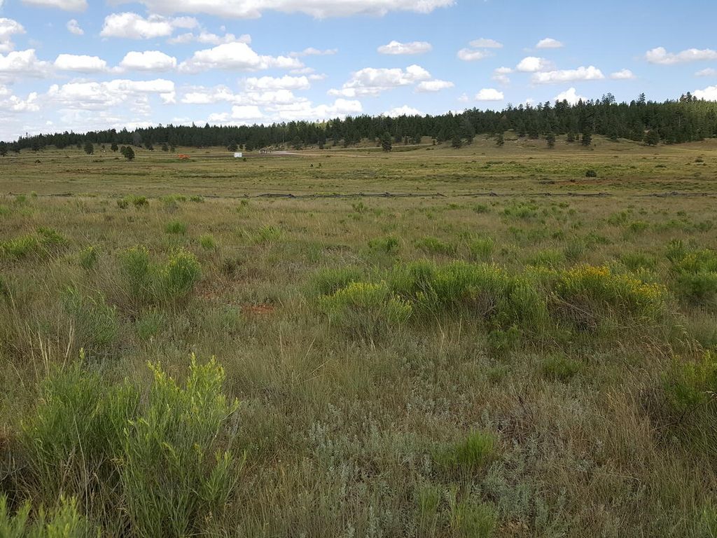 Photo of E Meadow LN, Duck Creek Village, UT 84762 (MLS # 100432)