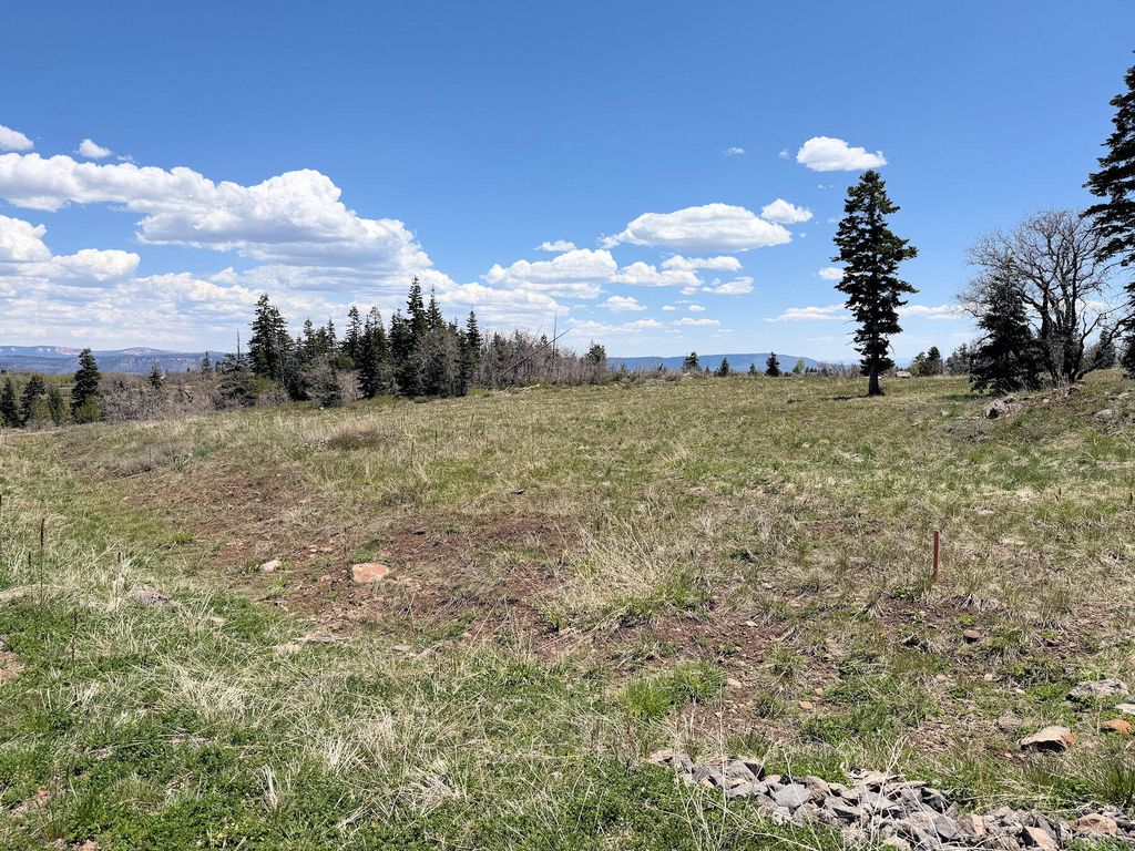 Photo of 403 W Blue Spruce DR, Virgin, UT 84779 (MLS # 116209)
