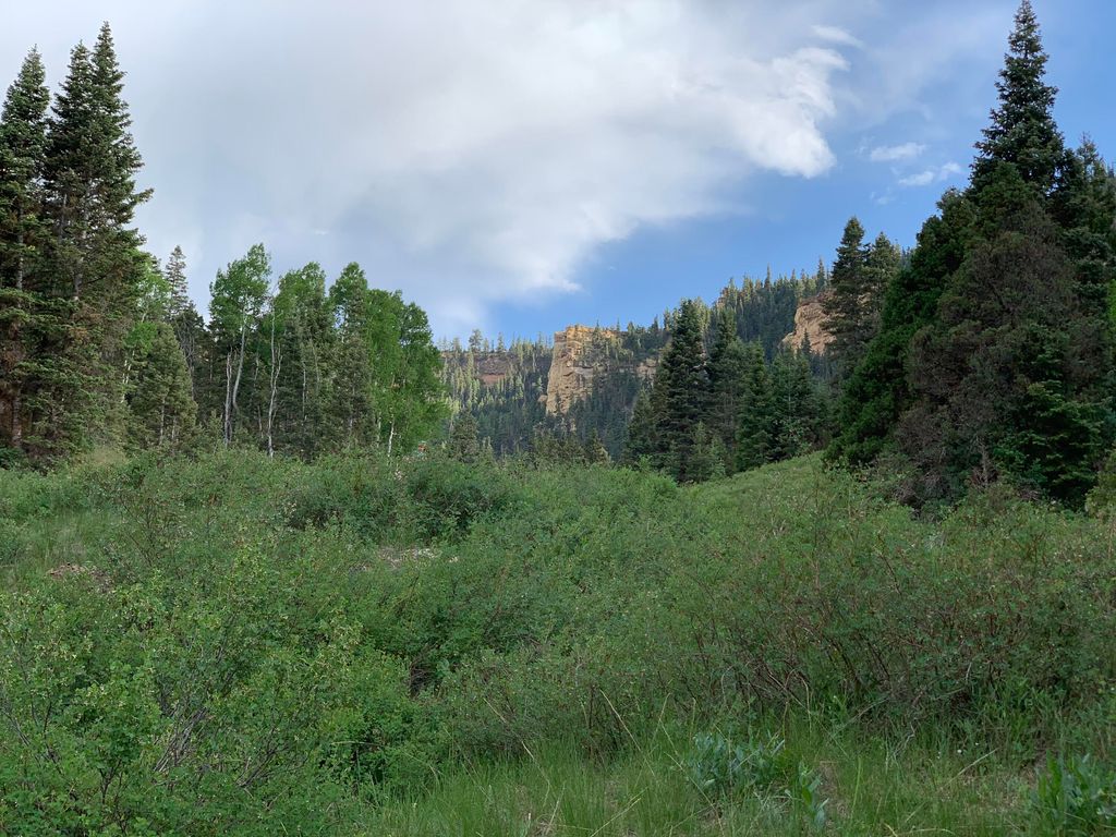 Photo of Cedar Mountain Ashdown Gorge-B, Cedar City, UT 84720 (MLS # 110631)